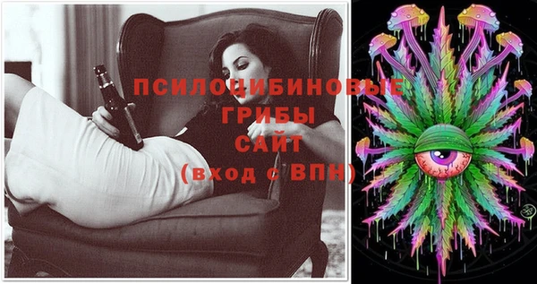 mix Няндома